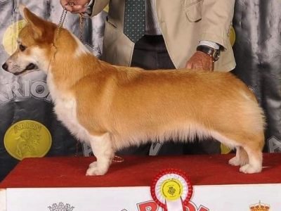 Dila de Simagüe Dila de Simagüe