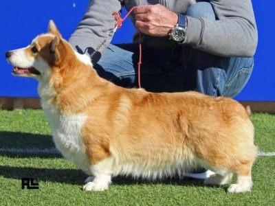 WhatsApp Image 2025-10-29 at 10.57.52 AM (1) WhatsApp Image 2025-10-29 at 10.57.52 AM (1)