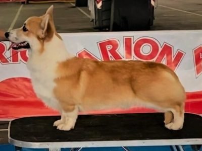 WhatsApp Image 2025-10-29 at 10.57.52 AM WhatsApp Image 2025-10-29 at 10.57.52 AM