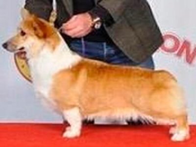 WhatsApp Image 2025-10-29 at 10.57.53 AM WhatsApp Image 2025-10-29 at 10.57.53 AM